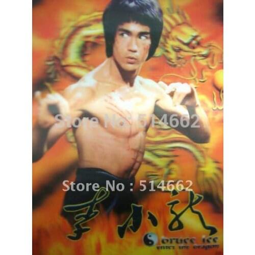 3D Effect Plastic Picture,Wall Hanging,Poster-KungFu Li