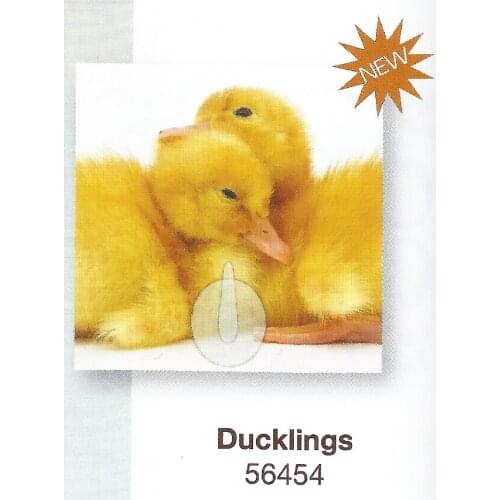 24 packs/box 3D vinyl stick magic HOOK Ducklings perfect DIY wall kitchen tile accessory kid room toy hobby