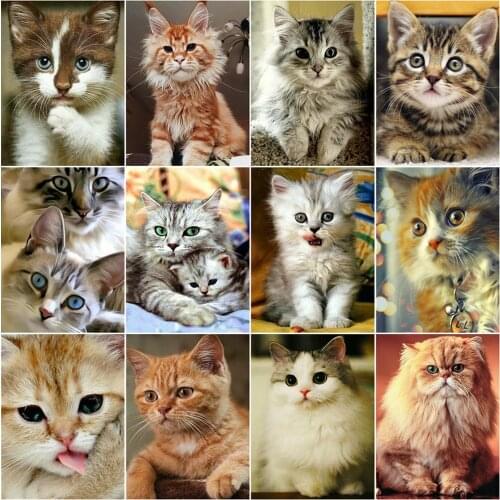 CraftArtGo 5D DIY Diamond Embroidery kitten Full Square Round Rhinestone Mosaic Painting Cross Stitch Flowers Diamond Kit