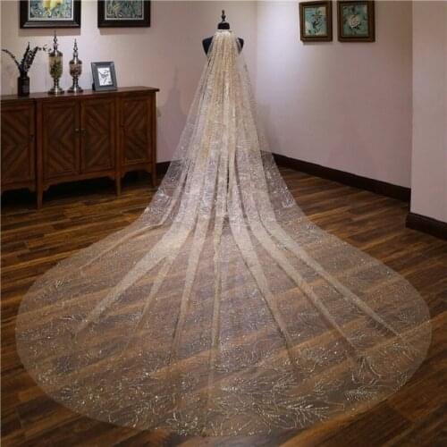 Luxury Long Veils 5 Meters Length Appliqued One Layer Champagne Cathedral Wedding Veil Bling Ivory Bride Wedding Accessories