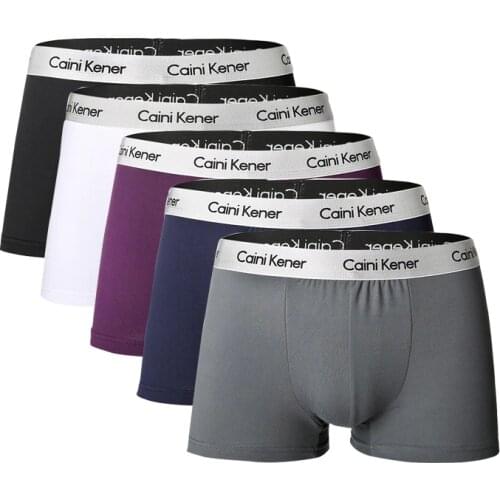 5Pcs Male Panties Mens Underwear Boxers Breathable Man Boxer Solid Underpants Comfortable Brand Shorts Jdren