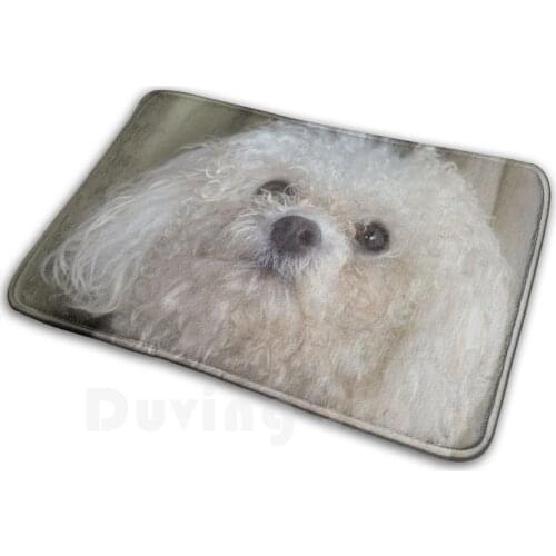 It Wasn't Me Mat Rug Carpet Anti-Slip Floor Mats Bedroom Bichon Frise Dog Cute Adorable Canine Toy Breed White Fur Curly