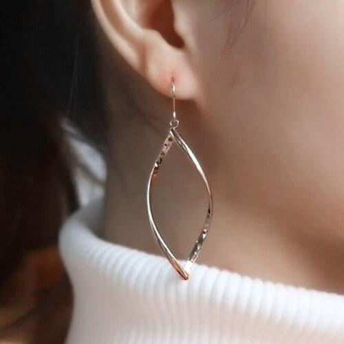 Big Earring for Women Stainless Steel Fashion Rose Gold Earrings Hoop Simple Earring Twisted Jewelry Gifts for Woman Accessories