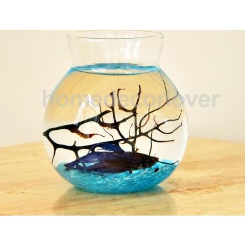 Clear Glass Round Flower Planter Vase Terrarium Container Fish Tank Table Decor