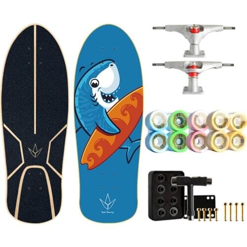 Skateboard 29"X9.8", 7-Layer Maple Skateboard Womens Mini Skateboard Free Pedal Brush Street Skateboard Gift for Beginners