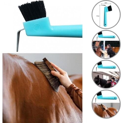 Hanging Hole Functional Horse Hoof Brush Supplies Easy to Hold Horse Hoof Tool Fine Workmanship for Personal Use