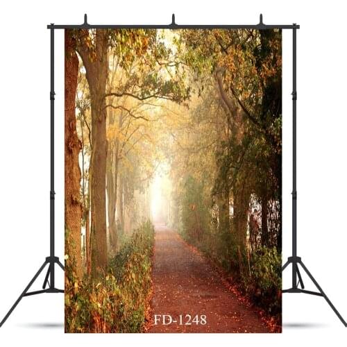 Sunlight Photography Background Walkway Backdrops For Photograph Accessories Children Baby Cloth Photo Backdrop Photo Studio