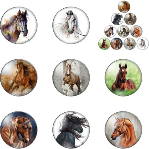 New Horse Art Paintings 10pcs/lot Mixed 10mm/12mm/16mm/18mm/25mm Round Photo Glass Cabochon Demo Flat Back Making Findings