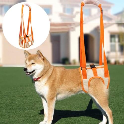 IDEPET Trainers For Dogs