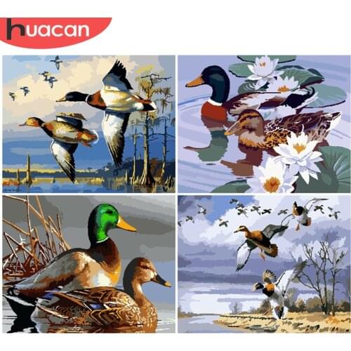 HUACAN DIY Pictures By Number Duck Kits Painting By Numbers Animal Hand Painted Picture Art Drawing On Canvas Gift Home Decor