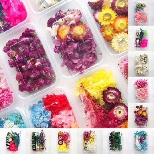 1 Box New Real Natural Dried Flower Plants Leaves Aromatherapy Candle Epoxy Resin Jewelry Soap Making DIY Art Craft Accessories