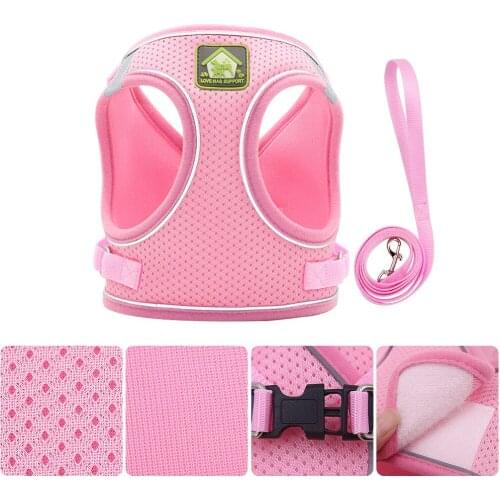 Small Dog Pet Harness And Leash Set Puppy Cat Vest Harness Collar Small Medium Dogs Breathable Cute Safety Pet Chest Straps