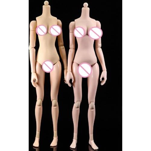 1/6 Female Joints, Movable Body, Fish, Loli Sitting Posture, Art Painting Collection