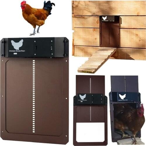 Товары для животных Isfriday China At AliExpress