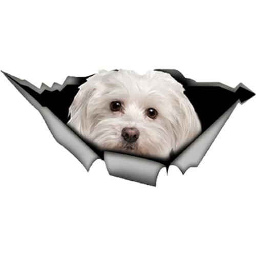 S50073# 13/15/17CM Personality PVC Decal Maltese Dog V8 Waterproof Car Sticker on Motorcycle Laptop Decorative Accessories
