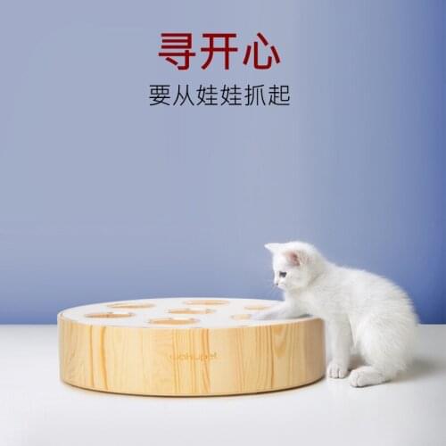 Pet Cat Educational Toy Perforated Box Toy Ball Puzzle Cat Toy