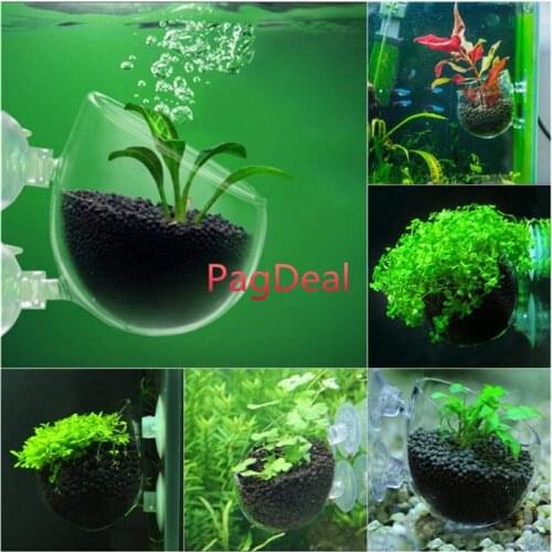 Aquatic Plant Cup Glass Fish Tank Aquarium Aquascaping Cultivation Basin Mini Aquatic Planting Pot Fish Tank Aquarium Decor Cups