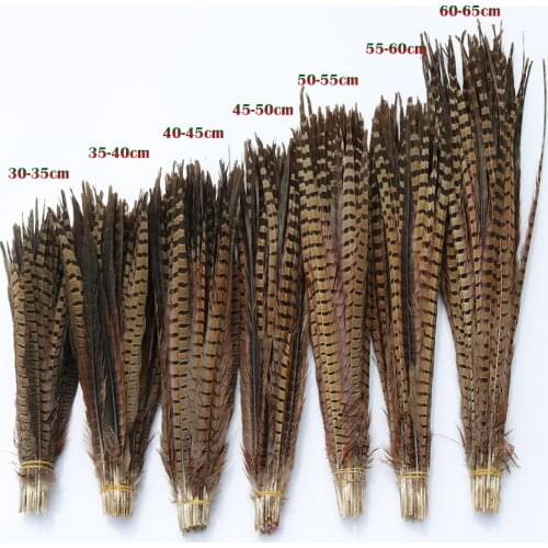 Wholesale 10Pcs Natural Ringneck Pheasant Tail Feathers for Crafts 25-75CM Wedding Carnival Decorations Pheasant Feather Plumes