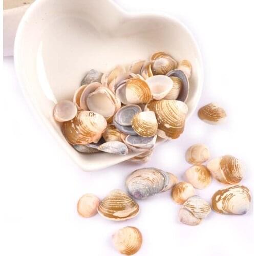 50pcs Ornaments Decoration Nscallop Shell Making DIY Scrapbooking Crafts Seashells For Glass Bottle Accessories 10-25mm TR0281