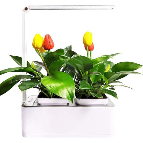 Smart Desktop Hydroponics Growing System With LED Lights For Vegetables Flower Herbs Plant at Home and Gift