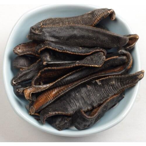 Leeches, sun-dried leeches, dried leeches, health preservation, blood tonic, leeches
