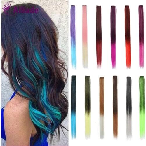 AILIADE 24 Inches Clip-In One Piece Hair Extensions Pure Color Straight Long Synthetic Hair Fake Hair Pieces Clip In 2 Tone Hair