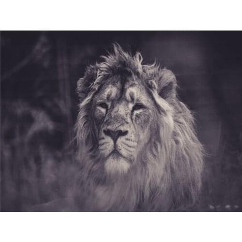 DIY Diamond 5D Embroidery Paintings Resin Square Rhinestone Full Pasted Unfinished Painting Cross Stitch Lion