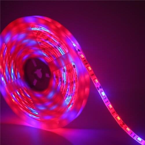 HEGUOGUO LED Plant Lamps