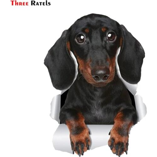 Three Ratels FTC-1071 3D Cute Dachshund Sausage Dog Sticker Car Sticker Decal for Wall Car Toilet Room Luggage Skateboard Laptop