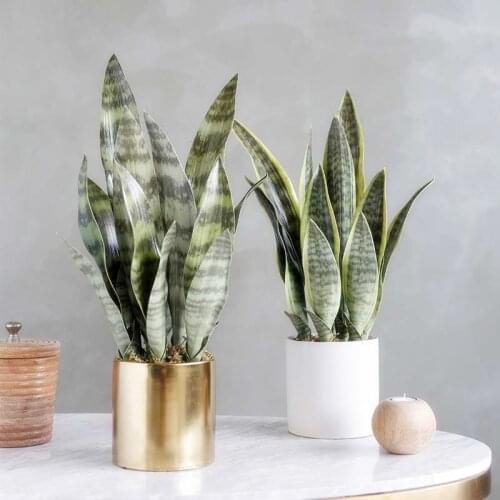 21CM-68CMArtificial Tiger Piran Plants Tropical Plastic Long Leaves Flower Arrangement Material Hotel Office Desktop Home Deco