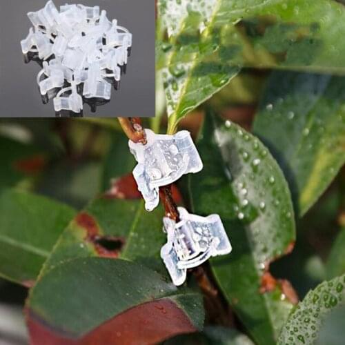 100Pcs/set Plastic Plant Grafting Clip Transparent Gardening Vegetable Flower Plants Grafting Clips Nursery Grafting Clamp
