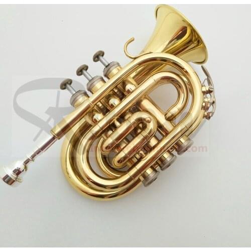 Weifang Rebon Bb Key Yellow Brass mini Trumpet