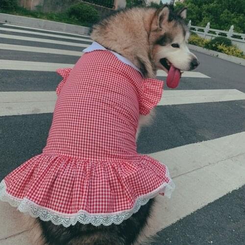 Small Dog Dress Summer Big Dog Clothes Large Dog Clothing Skirt Husky Golden Retriever Costume Puppy Poodle Pomeranian Apparel