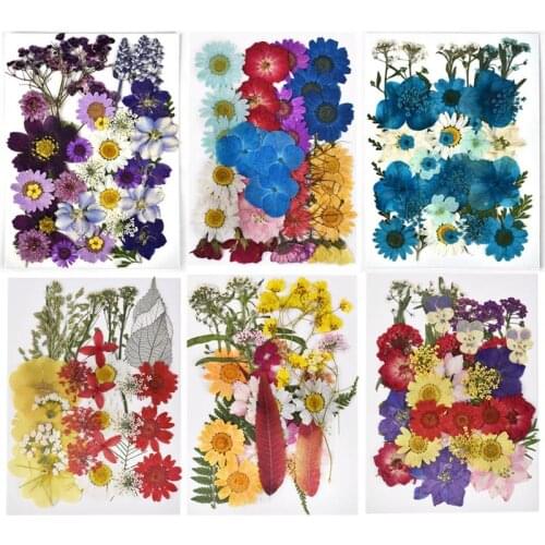 Dried Flower Resin Filler Filling Decoration For DIY Crystal Epoxy Resin Crafts Scraftbook Bookmarks Resin Jewelry Making
