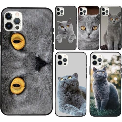 British Shorthair Cat Soft Cover For iPhone 12 11 Pro Max X XR XS Max 5S SE 2020 8 7 Plus 12 Mini Phone Case