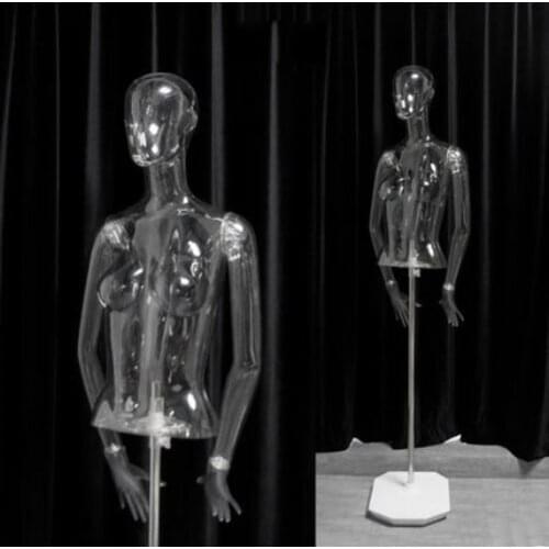 Transparent Bust Model 3D Female Bust Clear Body Fake Model Customized