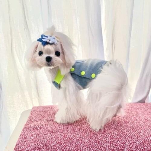 Small Dog Dress Cat Chihuahua Skirt Yorkshire Terrier Pomeranian Shih Tzu Maltese Bichon Poodle Schnauzer Clothes Puppy Clothing