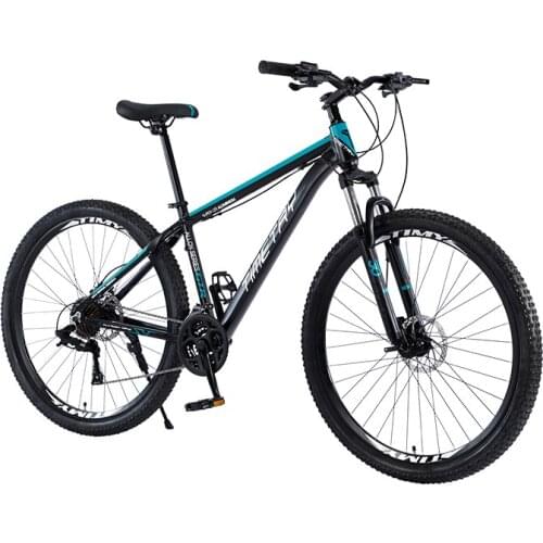 Timetry Bicycle Frames