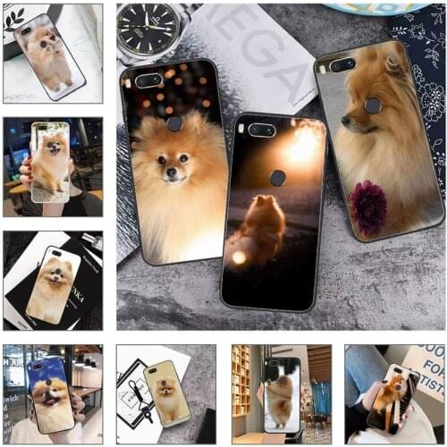 Pomeranian dogs dog Phone Case For Xiaomi Mi Redmi Note 8T 9T 9S 9A 10 7 8 9 Lite pro