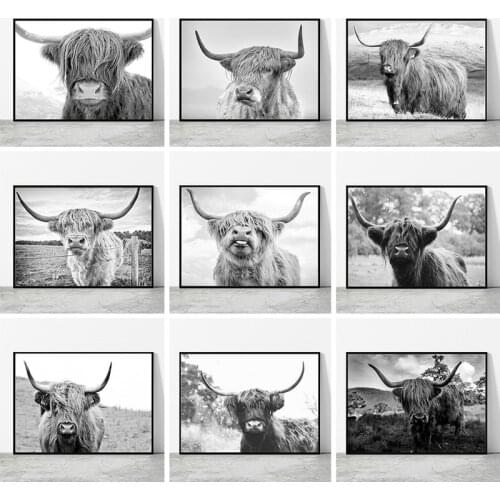Black White Highland Cow Canvas Painting Wild Animals Posters and Prints Cuadros Wall Art Pictures for Living Room Decoration