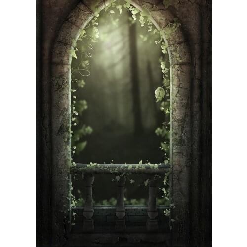 Retro Arch Plant Bokeh Photographic Background Vinyl Cloth Backdrop for Children Baby Halloween Party Photoshoot Photo Studio