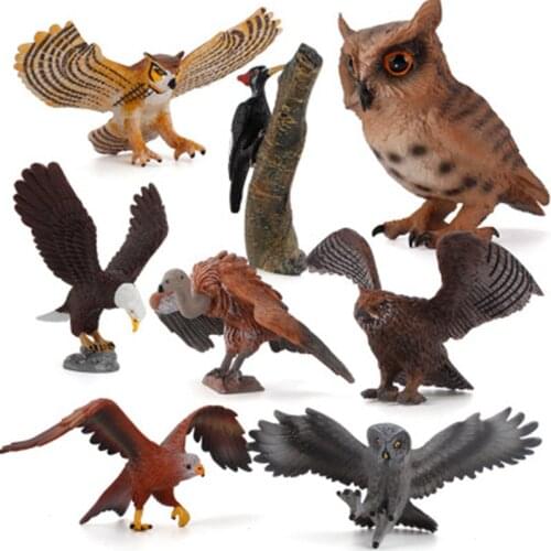 Simulation Wild Animal Bird Model Toy Action Figures Educational Toy Simulation owl woodpecker for Children Kid Toy Figure Gifts