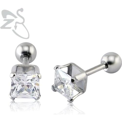 ZS Stainless Steel Stud Earring for Women AAA Square Zircon Stone Stud Earring Prong Set Women Jewelry Earrings Studs Piercing