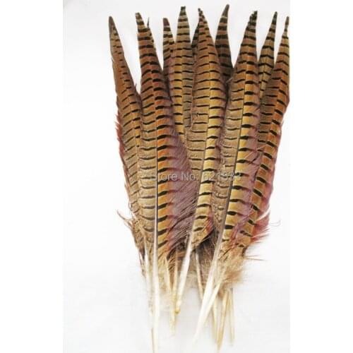 100pcs/lot!16-18inches 40-45CM Nature Ringneck Pheasant Tail Feather pheasant feather for Costume or Hat design