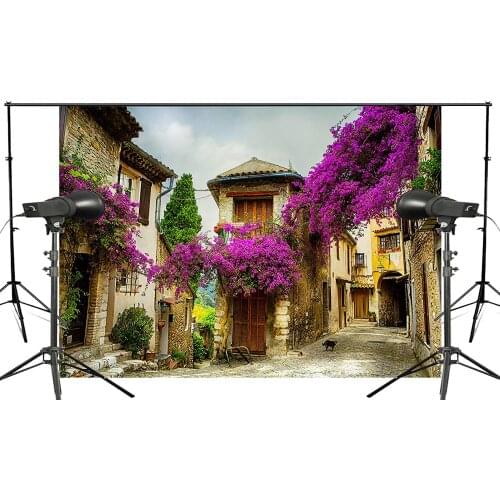 Beautiful Provence Village Photography Background Purple Lavender Scenery Broken House Backdrop Wedding Landscape