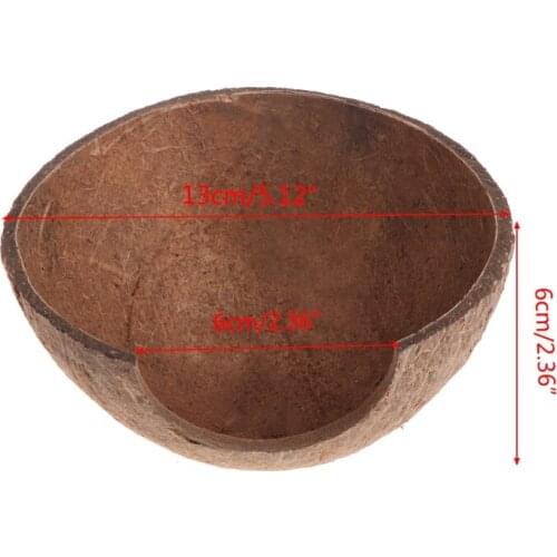 Reptile Hide Habitat Natural Coconut Shell Lizard Spider Small Animal Cave House