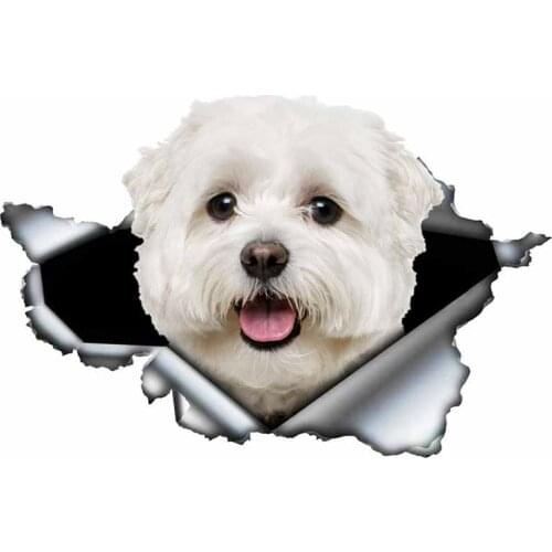S50072# 13/15/17CM Personality PVC Decal Maltese Dog V7 Waterproof Car Sticker on Motorcycle Laptop Decorative Accessories