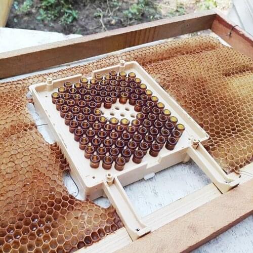 Beekeeping Queen Rearing System Jenter Queen Rearing Kit Complete Jenter Queen Rearing Kit for Queen Bee Breeding