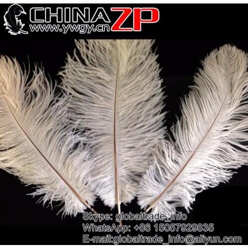 CHINAZP Factory 1000pcs/color/lot Length 12"-14"(30-35m) Top Quality White Ostrich Feathers