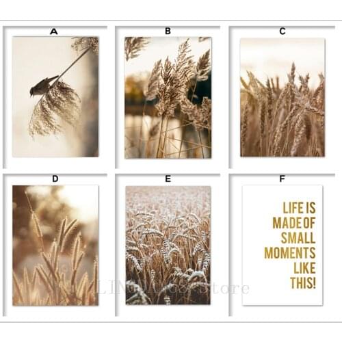 5D DIY Full Drill Diamond Painting Reed Wheat Bird Quotes Autumn Landscape Diamond Mosaic Embroidery Cross Stitch Kit Home Decor